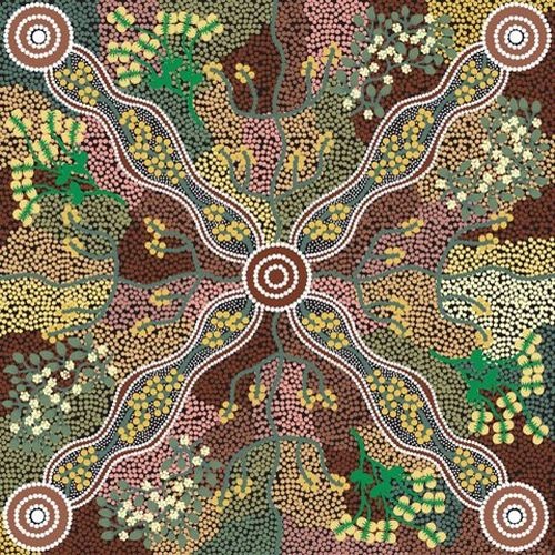 Aboriginal Yuendumu Bush Tomato