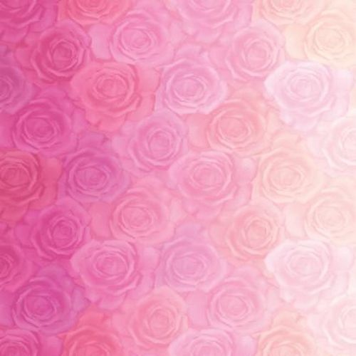 Gradients 2 Roses Pink Parfait