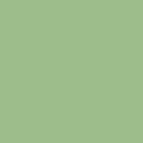 Apple Butter Collection Solid Fern Green