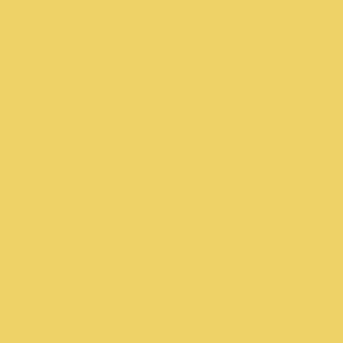 Apple Butter Collection Solid Yellow