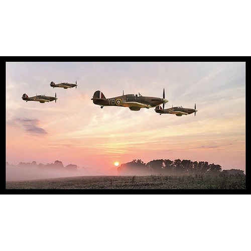 Military War Plane Panel #2