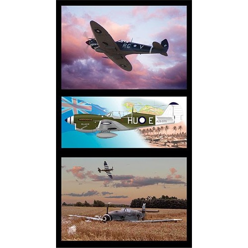 Military War Plane Panel #3