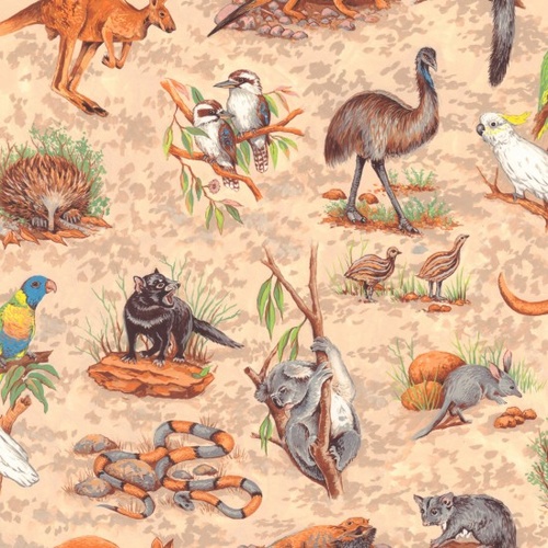 Australian Wildlife Animals