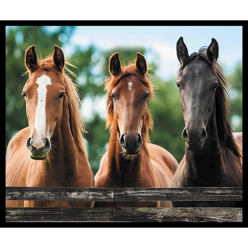Horse Trio Panel