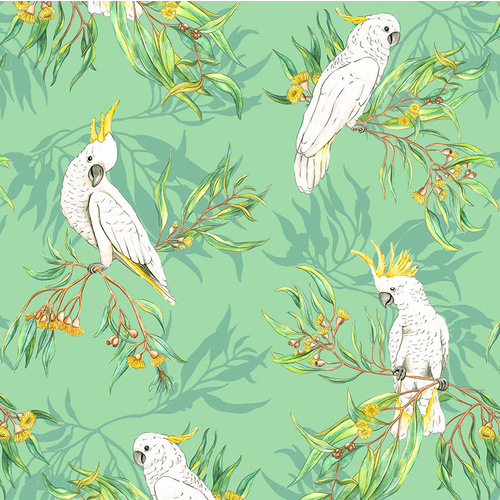Gumtree Friends Australian Cockatoos