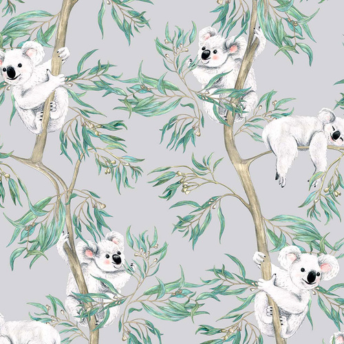 Gumtree Friends Australia Koalas Grey