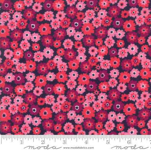 Rosa Daisy Floral Tarts Pink