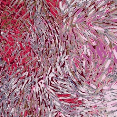 Aboriginal Bush Yam 2 Red