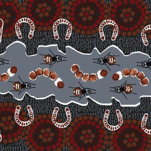 Aboriginal Gathering Bush Food Black