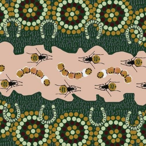 Aboriginal Gathering Bush Food Green