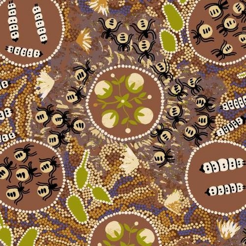 Aboriginal Witchety Grub Brown