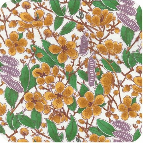 Aboriginal Senna White