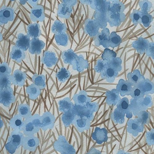 Aboriginal Wax Flower Blue