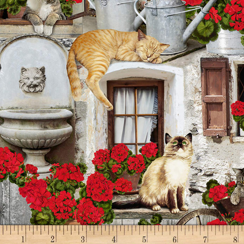 Cats and Geraniums Porch