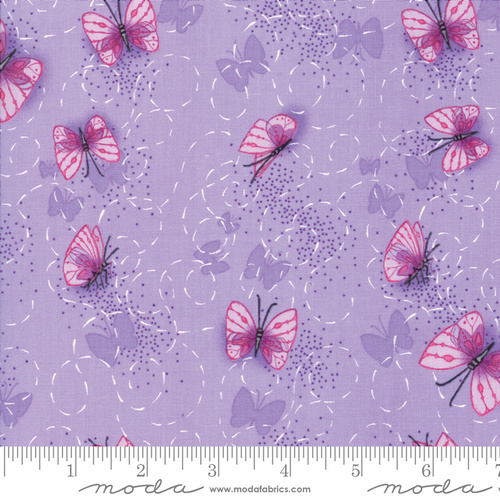 Sweet Pea and Lily Butterfly Lavender