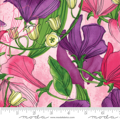 Sweet Pea and Lily Floral Primrose