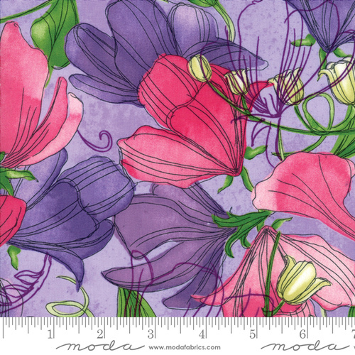 Sweet Pea and Lily Floral Lavender