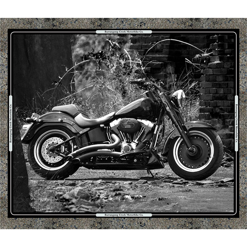 Motorbike Panel Mono
