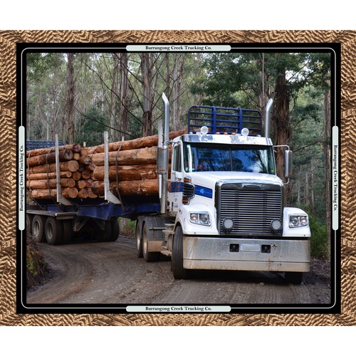 Burrangong Creek Road Train Truck Log Panel