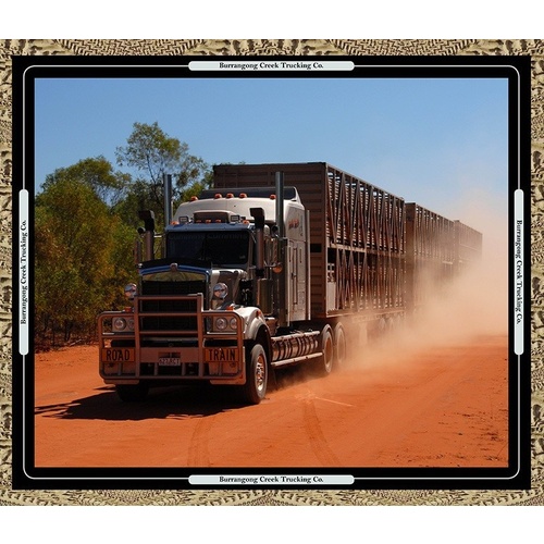 Burrangong Creek Road Train Truck Panel