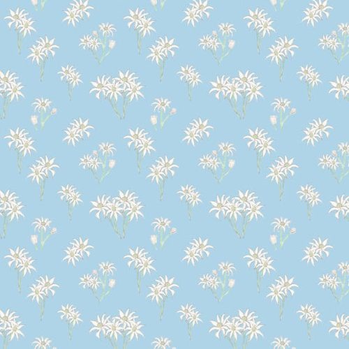 Sweet Bilby Flannel Flowers Blue