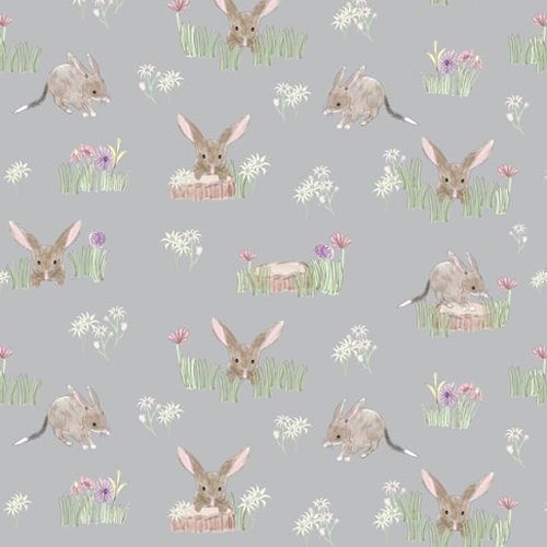 Sweet Bilby Grey