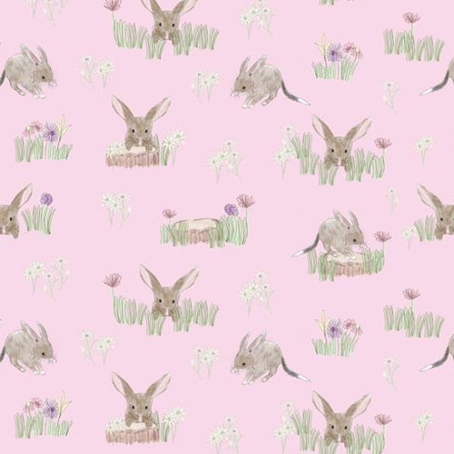 Sweet Bilby Pink