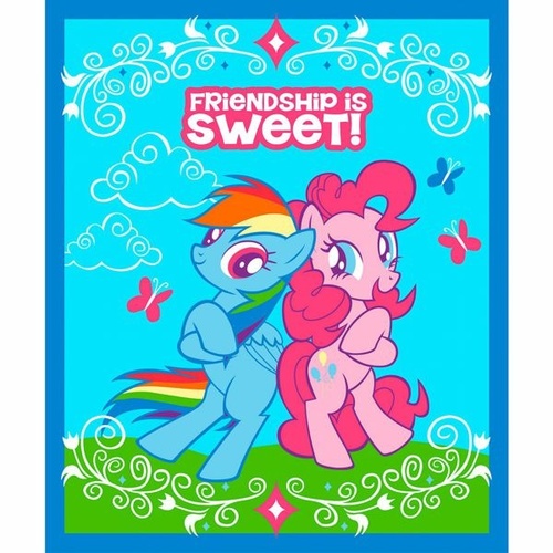 Rare Find Licensed Disney Friendship My Little Pony Panel