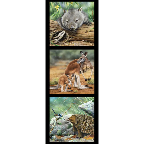 Wildlife Art 2 Wombat Kangaroo Echidna Panel #2 DV3177