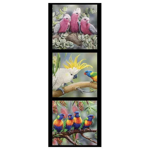 Wildlife Art 2 Galahs Cockatoos Rosellas Panel #3 DV3178