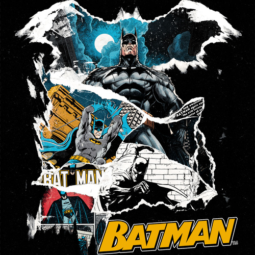 Licensed Disney Batman Panel