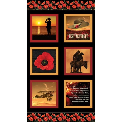 Remembering ANZAC Lest We Forget Panel 7117 A1