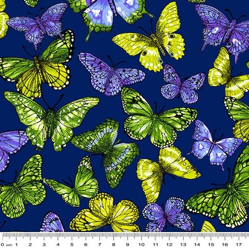 Rainforest Rainbow Butterfly Blue Multi 6355