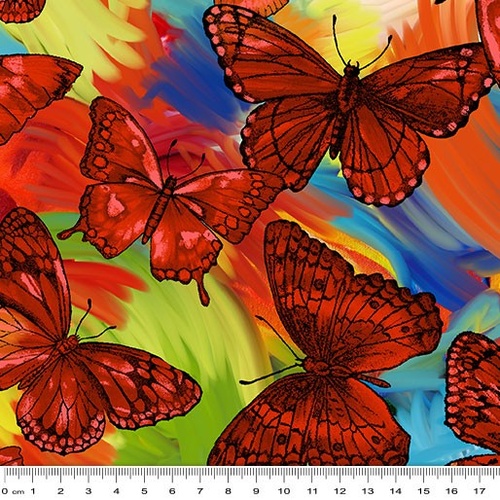 Rainforest Magic Butterfly Orange Multi 6237