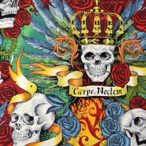 Carpe Noctem Skulls