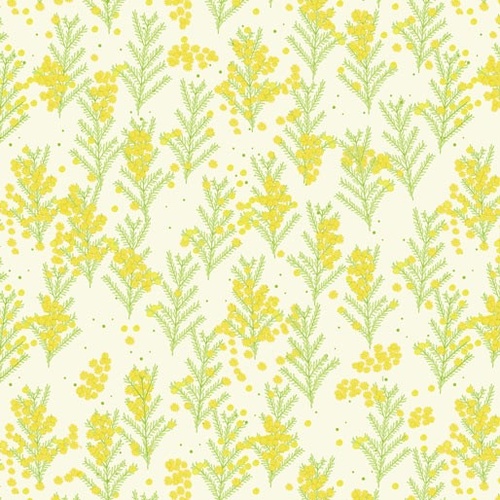 Outback Beauty Wattle Dance Cream 9066 Q