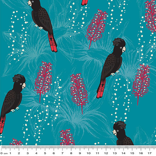 Outback Beauty Red Tail Black Cockatoo 9066 B