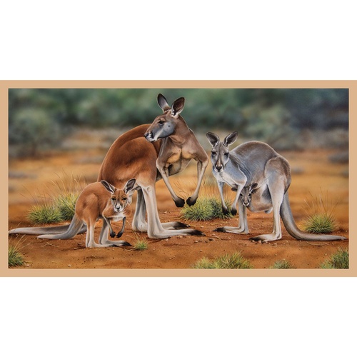 Wildlife Art 3 Kangaroo Joey 24" DV3185