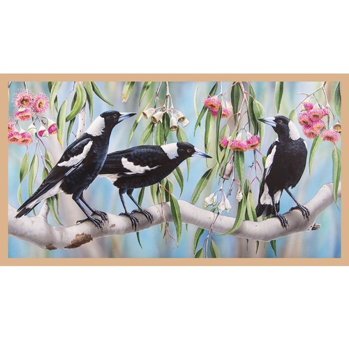 Wildlife Art 3 Australian Magpies 24" DV3186 