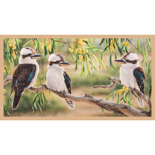 Wildlife Art 3 Australian Kookaburras 24" DV3187