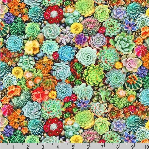 The Potted Garden Floral Succulents Multi 19575-238