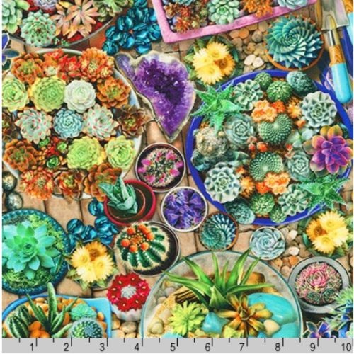The Potted Garden Potted Succulent Plants 19574-238