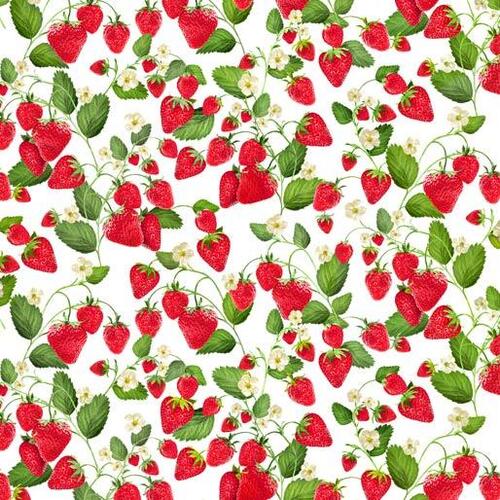 Strawberry Fields Strawberries Patch White 9765-09