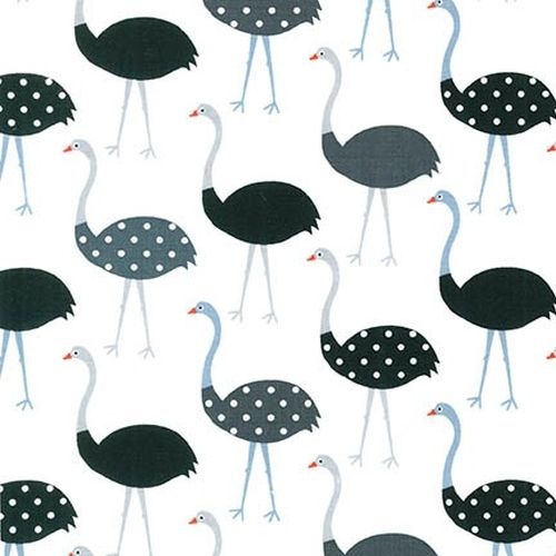 Urban Zoologie Ostrich White