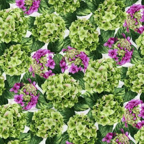 Beverly Park Lexington Peridot  Hydrangea 2913-002