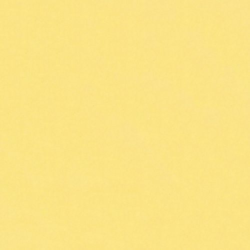 Camelot Fresh Solid Sunny Yellow 041