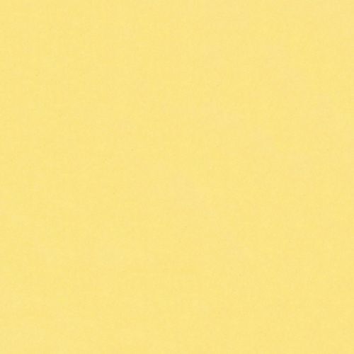 Camelot Fresh Solid Sunny Yellow 041