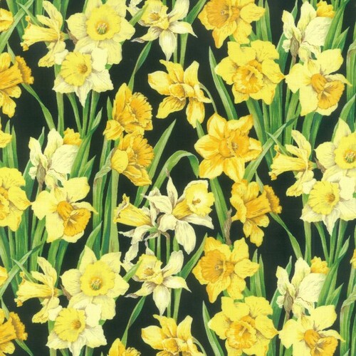 Daffodils Garden Floral