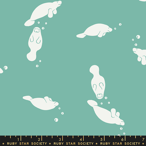 Ruby Star Florida Manatees Water 2027 13
