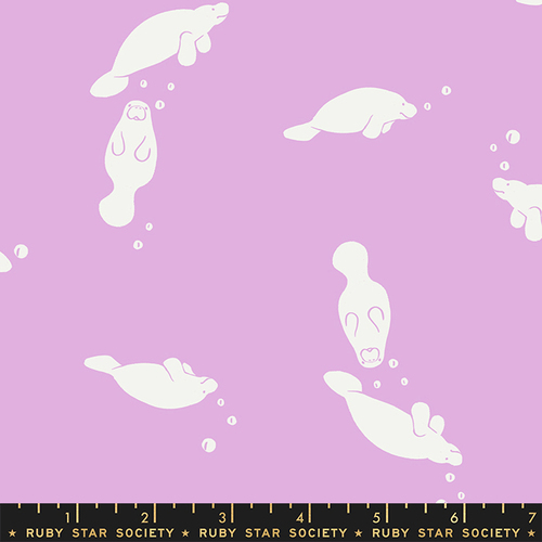 Ruby Star Florida Manatees Macaron 2027 12